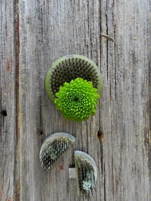 COUNTRY BUTTON GREEN POMPONS